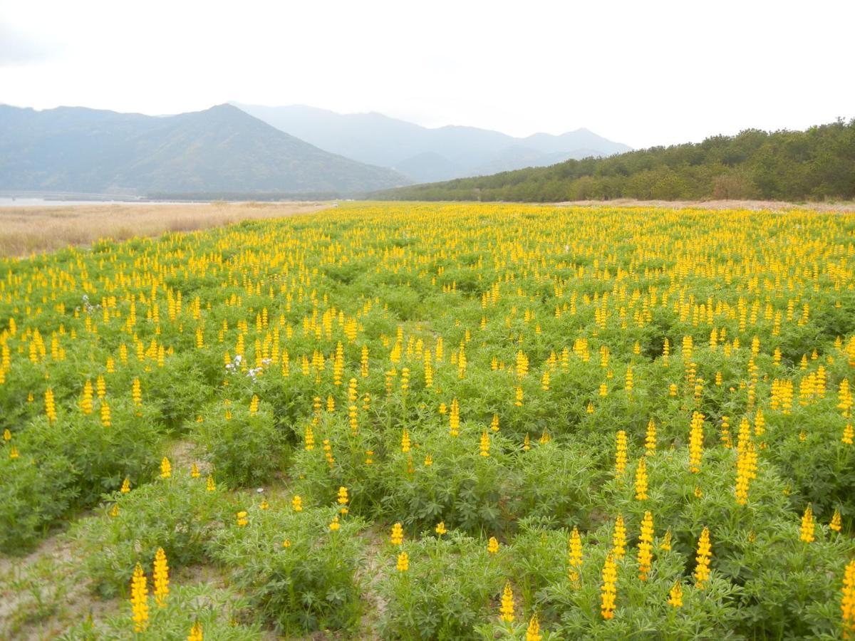 ゲストハウスすず風 志布志市 エクステリア 写真